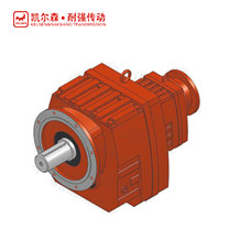 RF..R..-IEC 斜齒輪減速電機(jī)